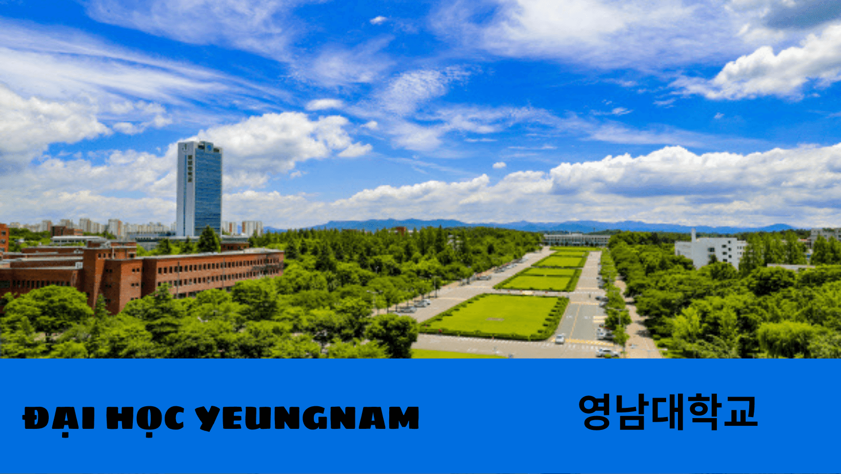 dai-hoc-yeungnam 1