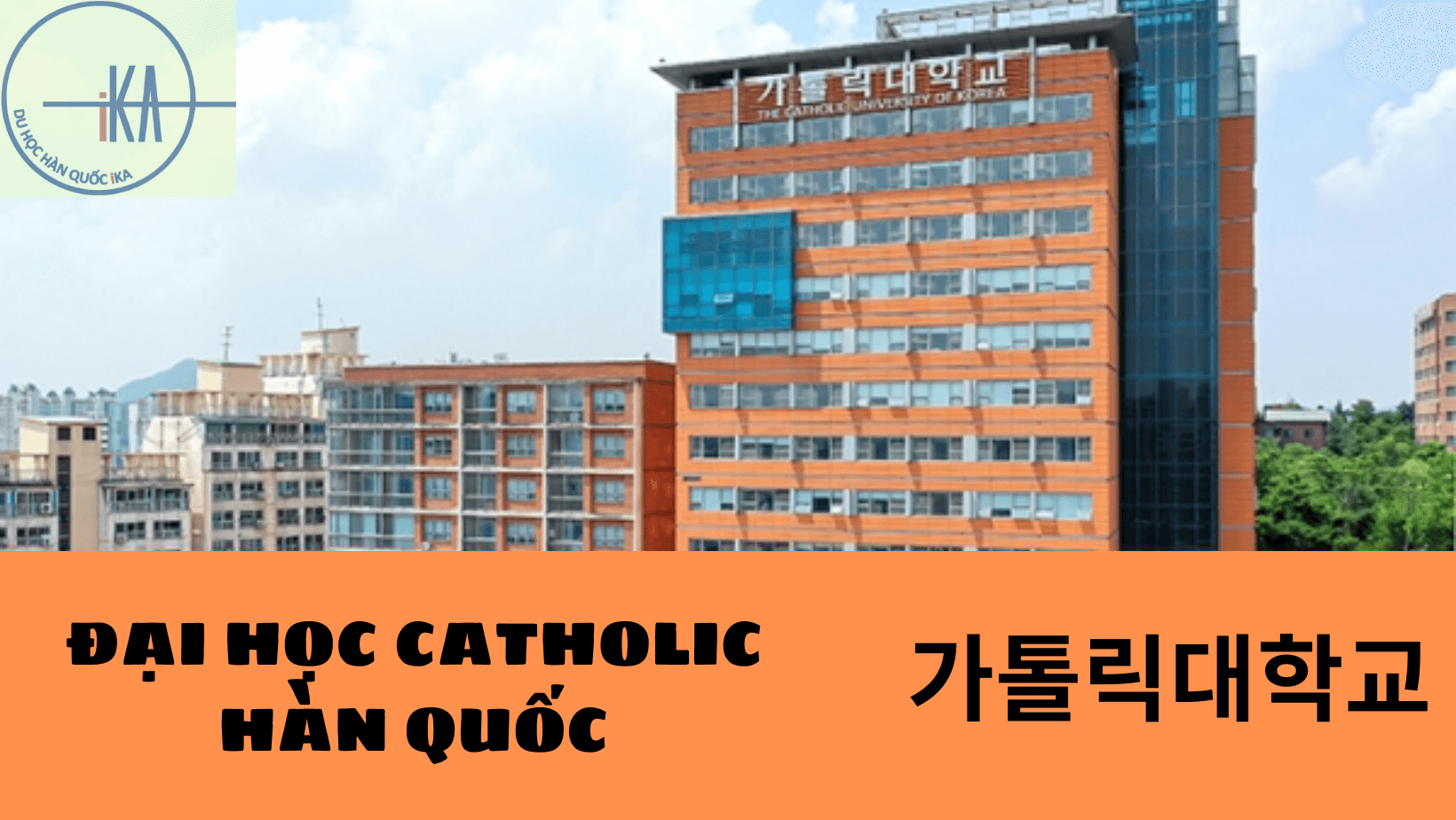 dai-hoc-catholic-han-quoc